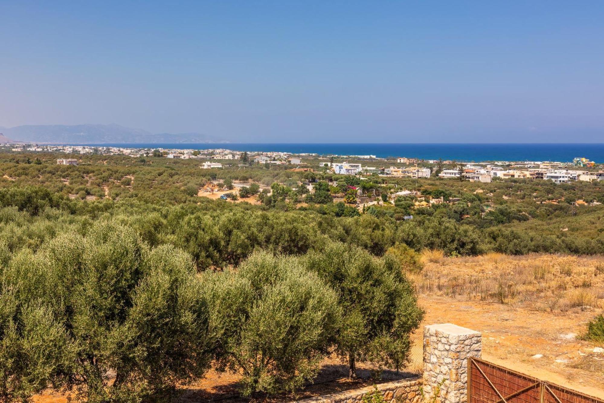 Γηorganic Farm And Houses. Hersonissos  Bagian luar foto