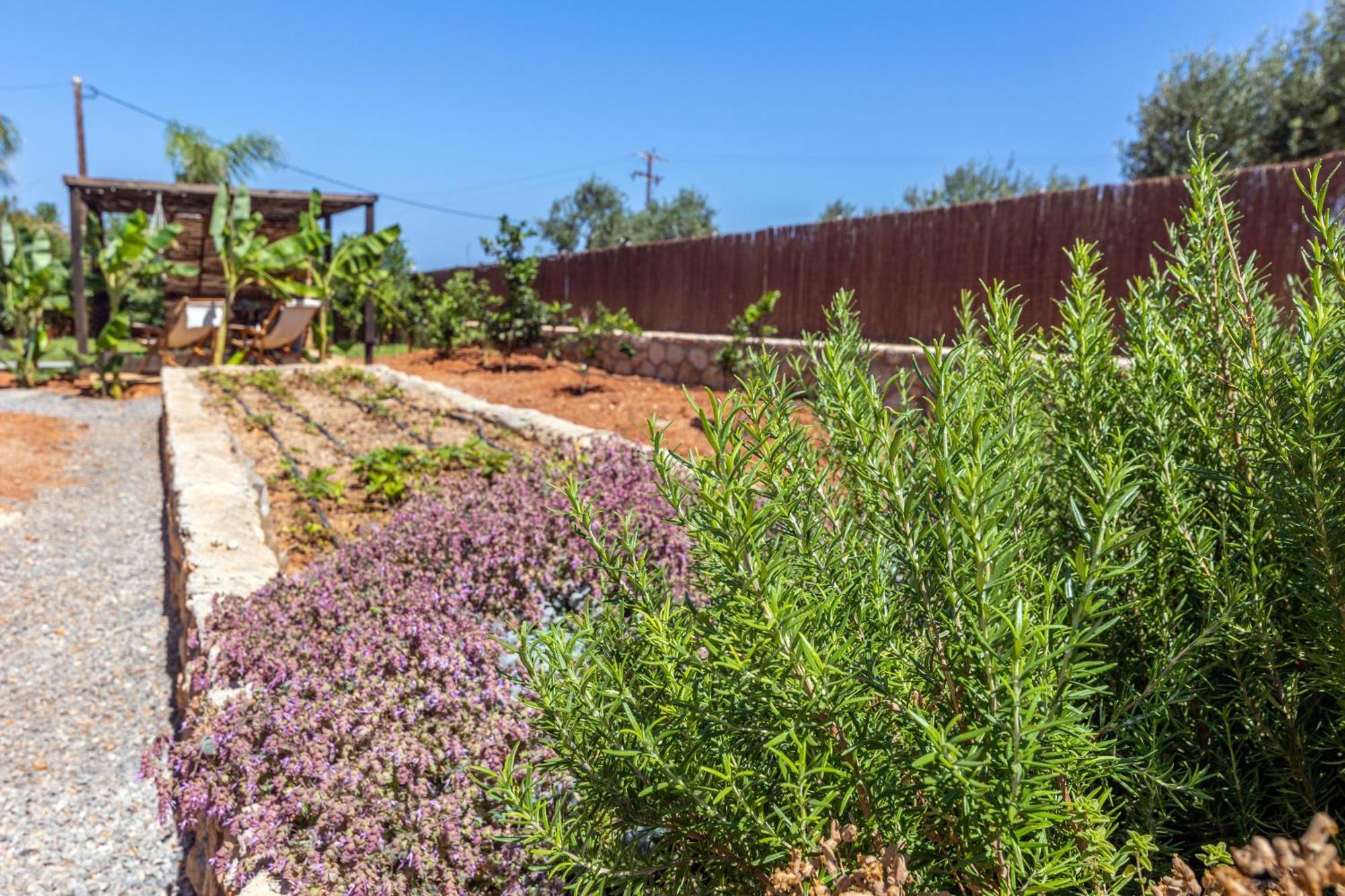 Γηorganic Farm And Houses. Hersonissos  Bagian luar foto